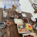 서유의섬 이미지