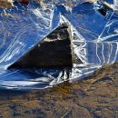 계곡이야기 이미지