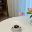 야자수 펜션 민박 이미지