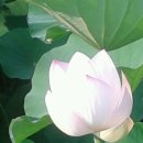 조항경로당 이미지