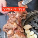 청개구리노래연습장 이미지