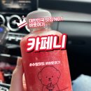 수원-1142 | 수원역 감성카페 카페니 신메뉴 수박주스 후기