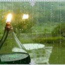 나침반공인중개사사무소 이미지