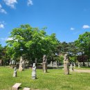 낭만술꾼 - 구미시 | 낭만술꾼