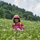 고개너머 동향길 이미지