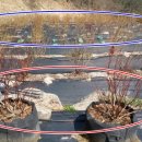 안서농장 이미지