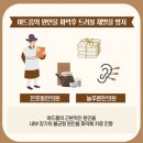 365늘푸른한의원 이미지