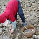 죽림어촌체험마을 이미지