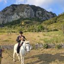 천지동-3 | [제주여행] 돌아기랑 제주도 2박3일 2일차(2)_천지연폭포, 산방산승마체험, 바다구경