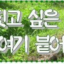 퍼머컬쳐
