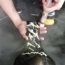 리가헤어살롱(RIGA HAIR SALON) | 발산역미용실 RS지연헤어살롱 솜브레 염색 후기! (애쉬카키 솜브레 염색, 솜브레 염색 과정)