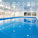 퍼피스테이 온수수영장 애견펜션 | 승언리 풀빌라 퍼피스테이 온수수영장 애견펜션 힐링 포인트가 가득한 곳