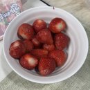 안흥파크 | 평창 1박2일 여행(안흥찐빵마을, 봉평군, 휘닉스파크, 루지)