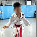 경희대 최강 MTA 태권도 이미지