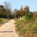 연일정씨배산문중 이미지