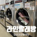 라인세탁 | 일산빨래방 ::라인빨래방:: 운동화 세탁 건조까지 한번에 가성비로