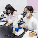 국립부산과학관 이미지