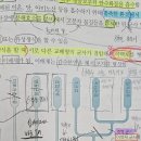 2권 34장 분류 467,481,484p 원생 생물, 내생근균 이미지