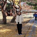 영일세탁소 이미지