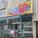 오뉴월 개팔자 이미지