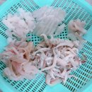 소호회센터 이미지