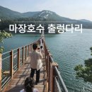 우리 딸 마장호수 출렁다리 위에서 대성통곡한 사연 &amp; 제 3주차장 주차 후기 / 아이와 여행