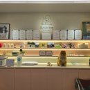 와이즈독 아카데미 이미지