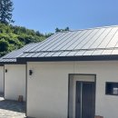 울릉푸른나무 이미지