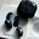 홍보농장 | 단양 블로그마케팅 체험농장 예약 폭발한 이유