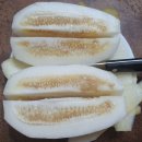 수목원농장 이미지