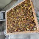 간만에 영양떡 해봤네요~~ 이미지