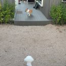 코코앤망고 | [밀양 1박 2일/코코앤망고 숙소, 트윈터널] 머리 크고 첫 가족여행