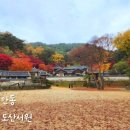 흑천1잠수교(세월교) | 경북 단풍명소 안동 도산서원 주차 입장료 단풍시기