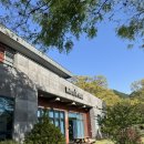 명곡로 | [대구] 웜브리즈 | 송해공원 근처 애견동반 카페 | n번째 내돈내산 방문후기