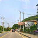 청원사 | 나들이/청원사&amp;남사 화훼단지&amp;맛집방문