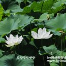 ㈜창조바이오 이미지