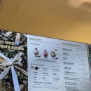 파스쿠찌 부산하단오거리점 | 부산 사하구 하단 공부하기 좋은 카공 카페 파스쿠찌