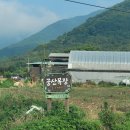 궁상목장 이미지