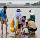 백사장해수욕장 네이버블로그