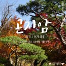 [가을 곤지암/화담숲] 곤지암 1박 및 화담숲 투어