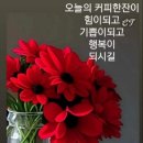 좋은날 이미지