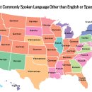 미국 50개주에서 사용되는 제 3의 언어(영어 또는 스페인어 다음으로 많이 사용되는 언어) 이미지