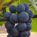 대훈유통 이미지