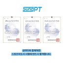 성피티 네이버블로그
