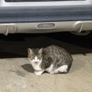 장고항펜션 | 장고항 오션뷰펜션 솔직 후기｜방 깨끗하고 조용했던 당진 숙소 추천