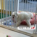 멍동이네 이미지
