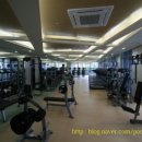 메타폴리스 앞 이미지