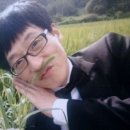 스테이 경화 이미지