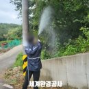 경남방역공사 - 거창군 | 부산 방역, 소독 | 해운대구 우동 좌동 중동 재송동 반여동 해운대 장산, 공장 산업 현장 야외 방역...