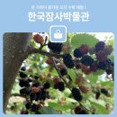 한국잠사박물관 이미지